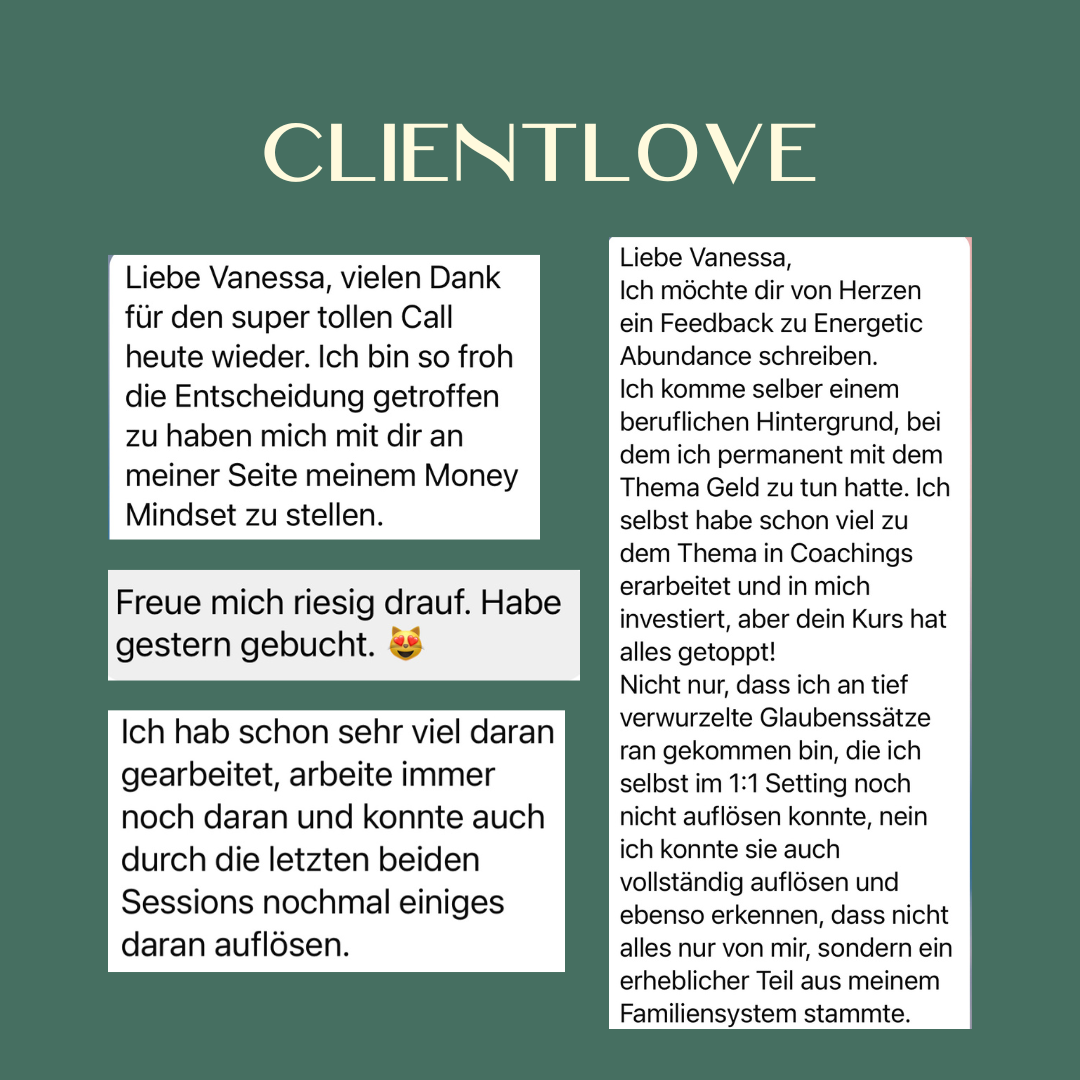 Energetic Abundance- Dein Weg zu einem neuen Money Mindet