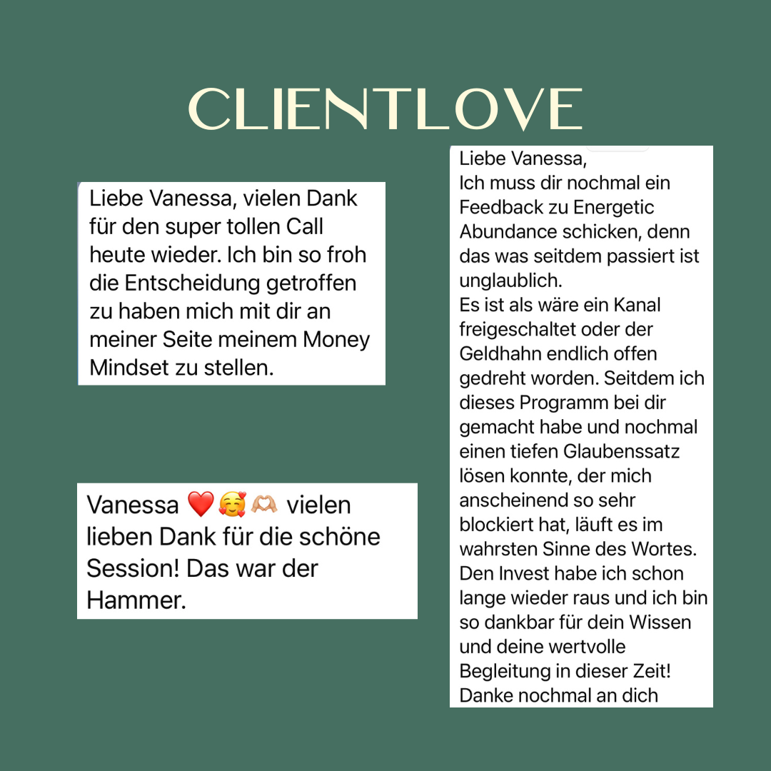 Energetic Abundance- Dein Weg zu einem neuen Money Mindet